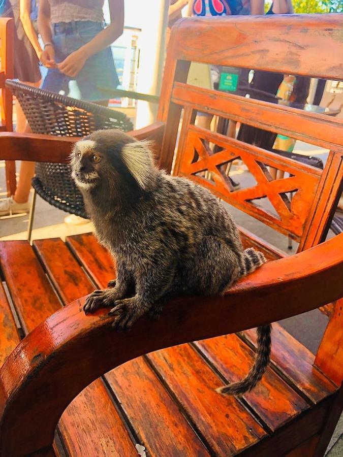 Lapa Casa *